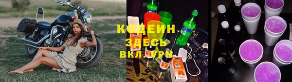 молекула духа Вяземский