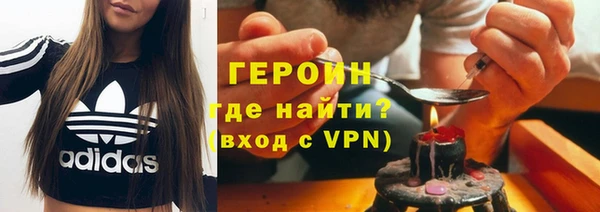 молекула духа Вяземский