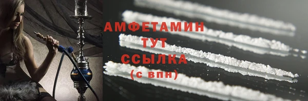 прущие грибы Бородино