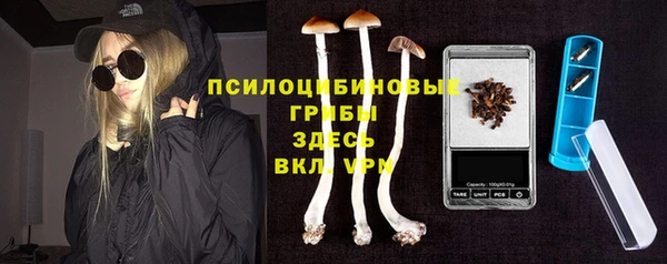 МДПВ Верхний Тагил