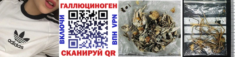 как найти наркотики  Жуков  Псилоцибиновые грибы мухоморы 